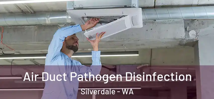 Air Duct Pathogen Disinfection Silverdale - WA