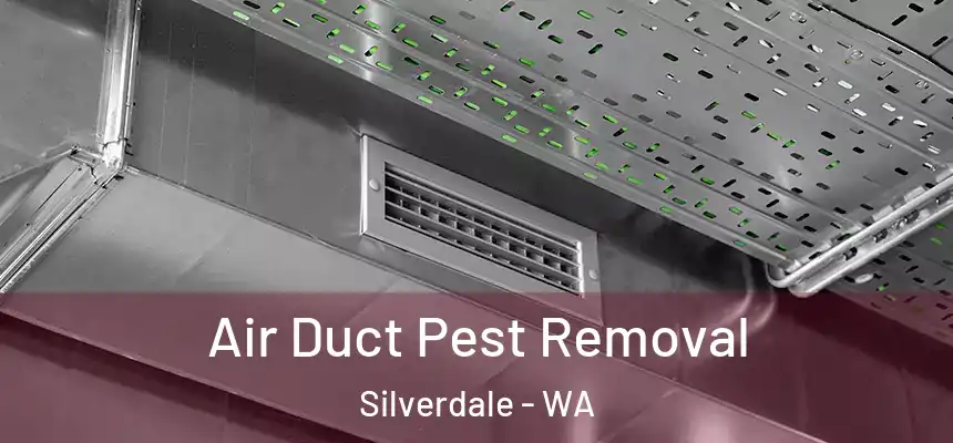 Air Duct Pest Removal Silverdale - WA