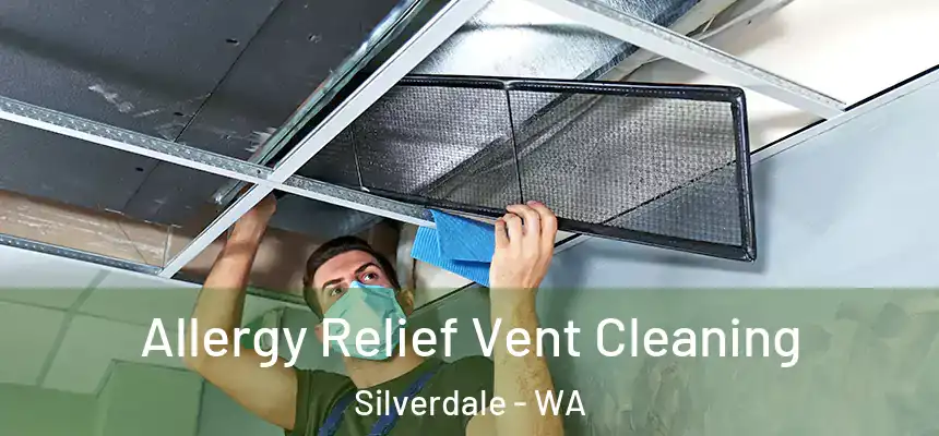 Allergy Relief Vent Cleaning Silverdale - WA