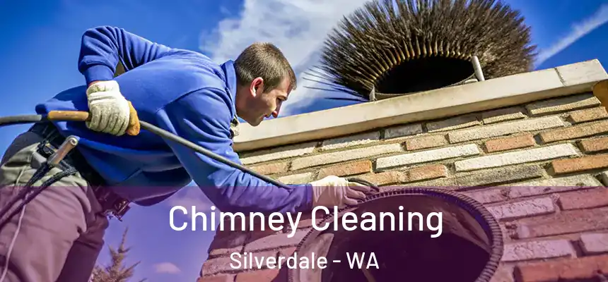  Chimney Cleaning Silverdale - WA