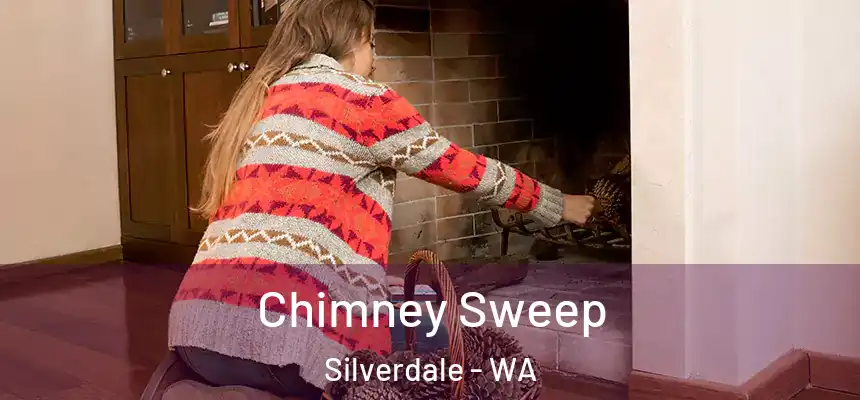  Chimney Sweep Silverdale - WA