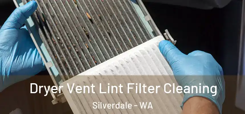  Dryer Vent Lint Filter Cleaning Silverdale - WA