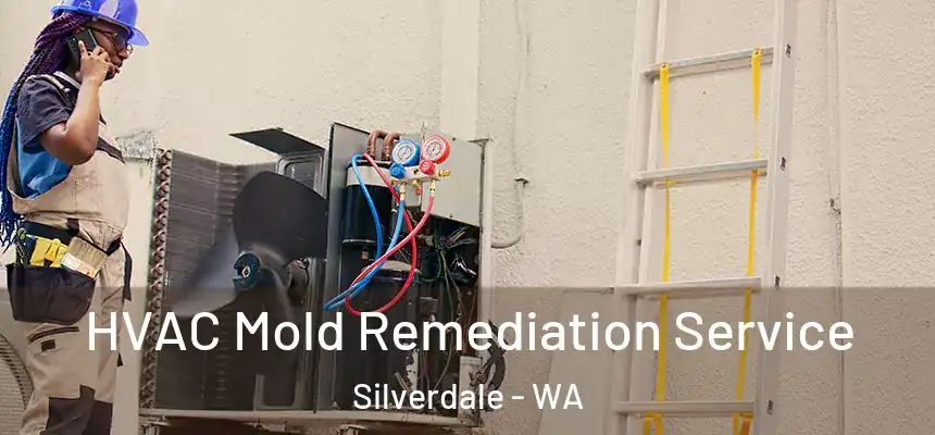 HVAC Mold Remediation Service Silverdale - WA