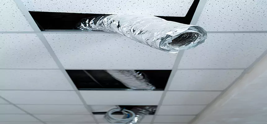 Our Air Duct Pet Hair Removal Services in Silverdale, WA