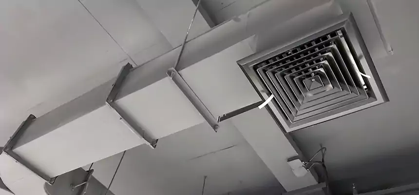 Restorative Allergy Relief Vent Cleaning – Coil, Blower & Housing Detail in Silverdale