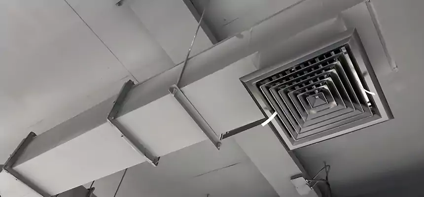 Our Rodent Droppings In Vents Services in Silverdale, WA