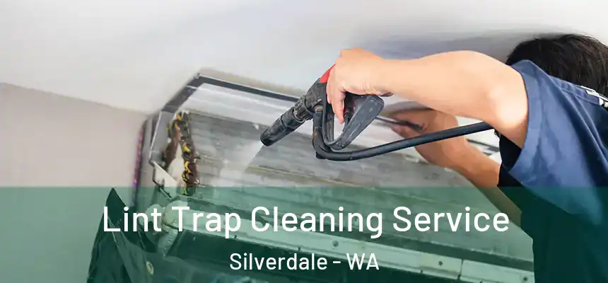 Lint Trap Cleaning Service Silverdale - WA