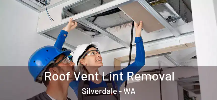  Roof Vent Lint Removal Silverdale - WA