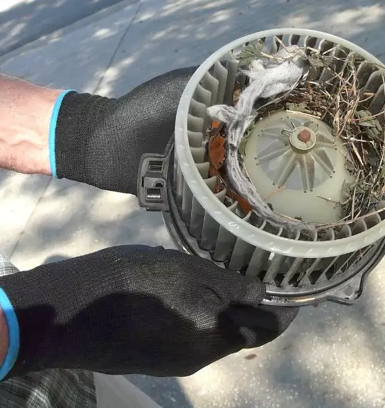 About Air Duct Rat Removal in Silverdale, WA