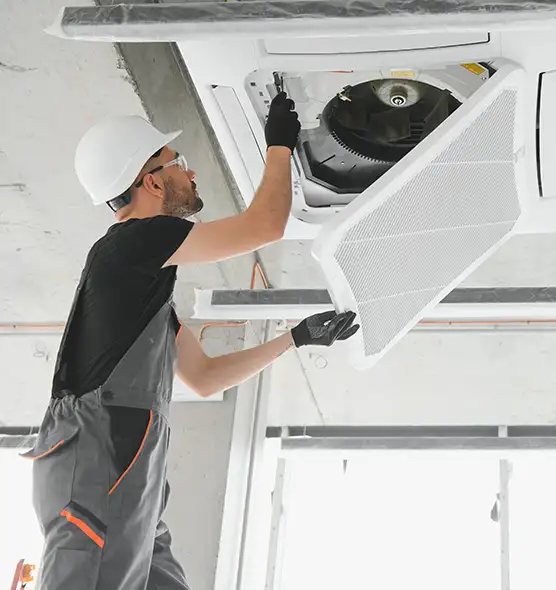 About Air Duct Rodent Removal in Silverdale, WA