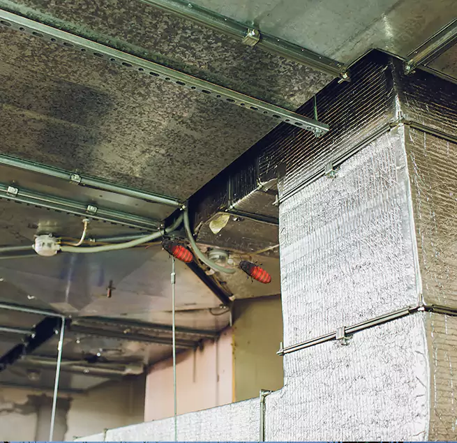 Why Homeowners & Businesses Trust Us Silverdale, WA?