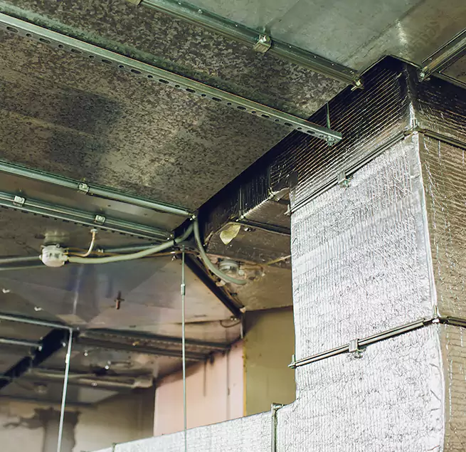 Why Homeowners & Businesses Trust Us in Silverdale, WA?